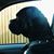 Gidget Shenefield's profile image