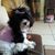 Liane Rose's profile image