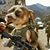 Carlos Donovan Paz's profile image