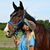 Diane Taylor Ziesenheim's profile image