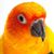 Mark Nunan's profile image