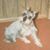 John Egnew's profile image