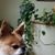 Monica Wasson-Martin's profile image