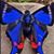 Rose Calderon's profile image
