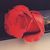 Brandy Rocha's profile image