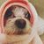 Sii Chiñgas's profile image