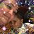 Zena Rodriguez's profile image
