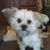 Richard Ballentine's profile image
