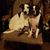 Mary Jo Elmore's profile image