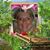 Sue Smith-Clarke's profile image