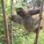 Farres Adamantisaurus's profile image