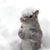 Carrie Squirrels's profile image