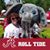 Melissa Fay Adams's profile image