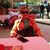 Zuhra Hajdarevic's profile image
