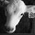 Tamra Bowman-Thein's profile image