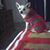 Judy Woodley's profile image