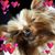 Linda Griner's profile image