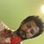 Meshari SH's profile image