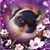 Sharon Hemmerich's profile image