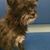 Debby Gaston's profile image