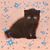 Cary R Plummer's profile image