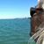 Monica B. Frohmann's profile image