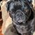 Agnes Edwards Yarboro's profile image