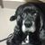 Susan Sparkman's profile image