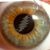 Tripp Shealy's profile image