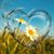 Kirsty Anderson Clemensen's profile image