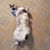 Muriel Pelham Smith's profile image