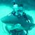 Scott Elwin's profile image