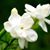 Leticia Munoz's profile image