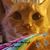 Penny White's profile image
