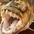 Steven Humphrey's profile image