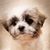 Gerri Bueng's profile image
