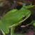 Kathryn Honeycutt's profile image