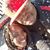 Latasha Flowers's profile image