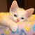 Darla A Maleche's profile image