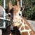 Donna Peterson-McAninch's profile image