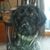 Ed Sampsell's profile image