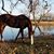 Darlene Culberson's profile image