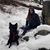 Kiley Breanna Quates's profile image