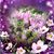 Deb Whitley's profile image