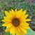 Cynthia Hyder Kovach's profile image
