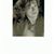 Claudia Bartak's profile image