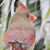 Jill Midgett's profile image