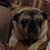 Meg Hilkey's profile image