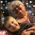 Donna Miller's profile image