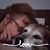 Barb Werth Moore's profile image